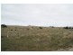 Lot 70 Main Street, Sheringa SA 5607