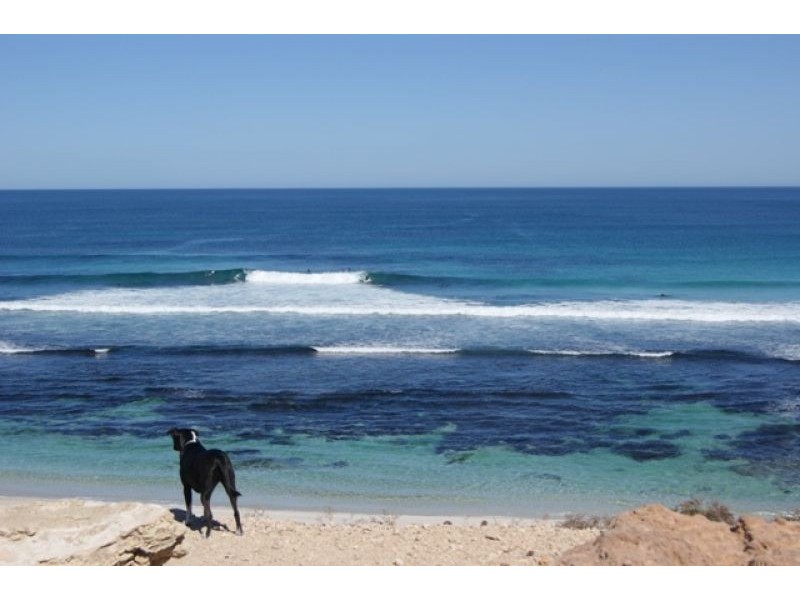 Lot 70 Main Street, Sheringa SA 5607