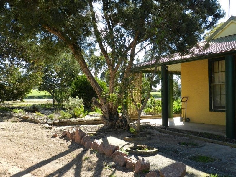 35 Park Avenue, Streaky Bay SA 5680