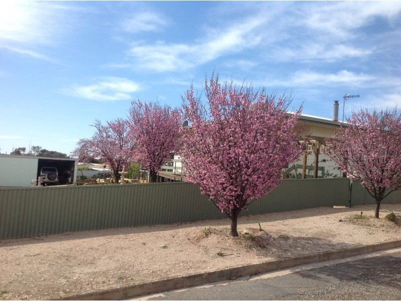 8 Philip Street, Streaky Bay SA 5680