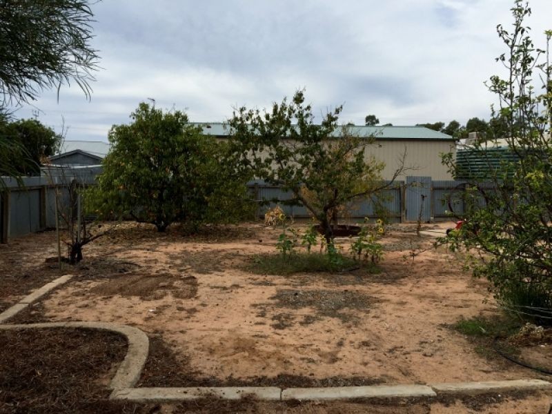 19 Ballantyne Street, Wudinna SA 5652