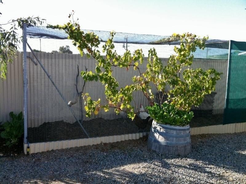 1 Symes Street, Port Kenny SA 5671