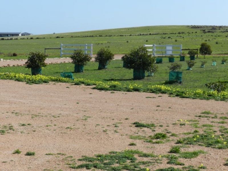 Lot 7 Kennedy Road, Streaky Bay SA 5680