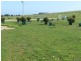 Lot 7 Kennedy Road, Streaky Bay SA 5680