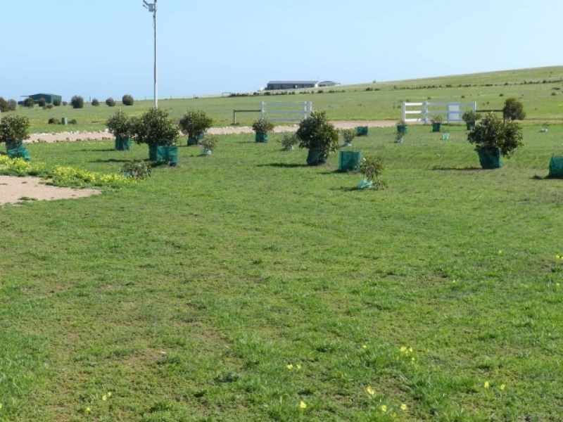 Lot 7 Kennedy Road, Streaky Bay SA 5680