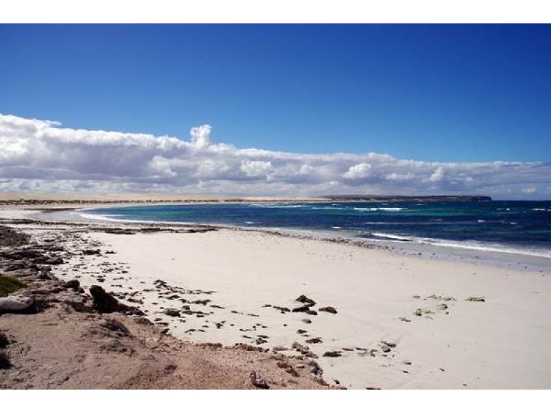 Lot 64 Main Street, Sheringa SA 5607