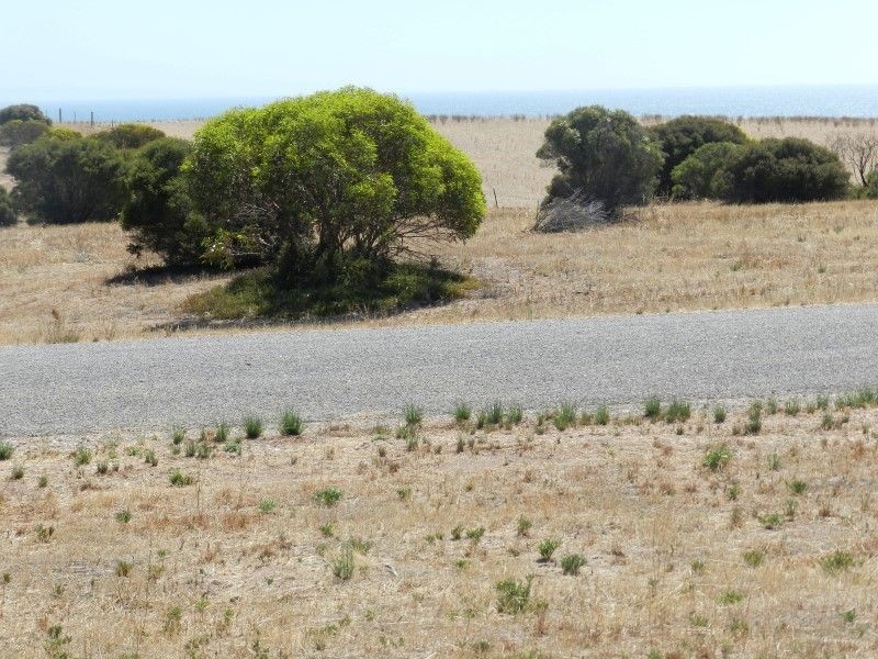 37 and 39 MEEINDERRY DRIVE Perlubie via, Streaky Bay SA 5680