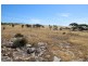 Lot 37 Second Street, Sheringa SA 5607