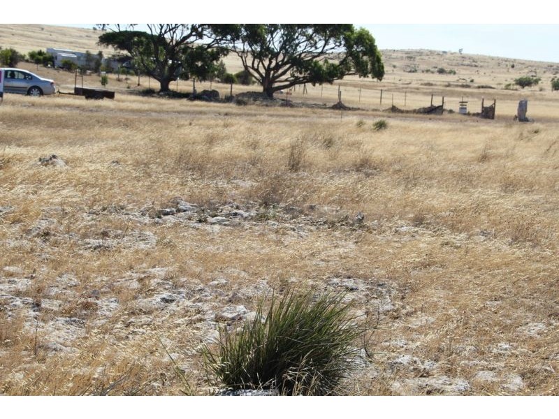 Lot 37 Second Street, Sheringa SA 5607