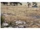Lot 37 Second Street, Sheringa SA 5607