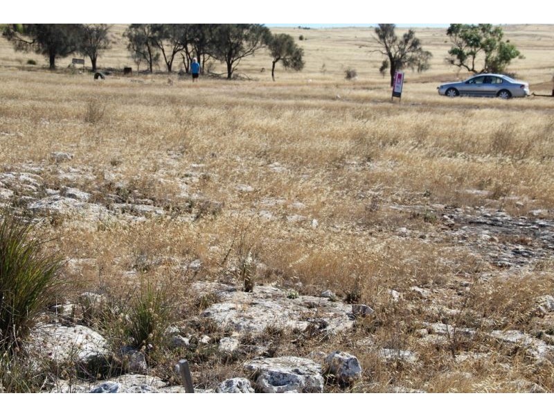 Lot 37 Second Street, Sheringa SA 5607