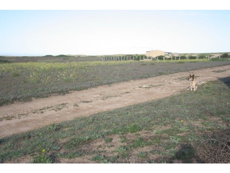 59 and 61 Whytwater Drive Fishermans Paradise via, Streaky Bay SA 5680