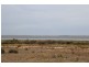 43 Beach Terrace Port Kenny via, Streaky Bay SA 5680
