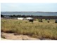 11 Bockelberg Hill Road, Streaky Bay SA 5680
