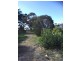 1313 Flinders Highway, Coomunga SA 5607