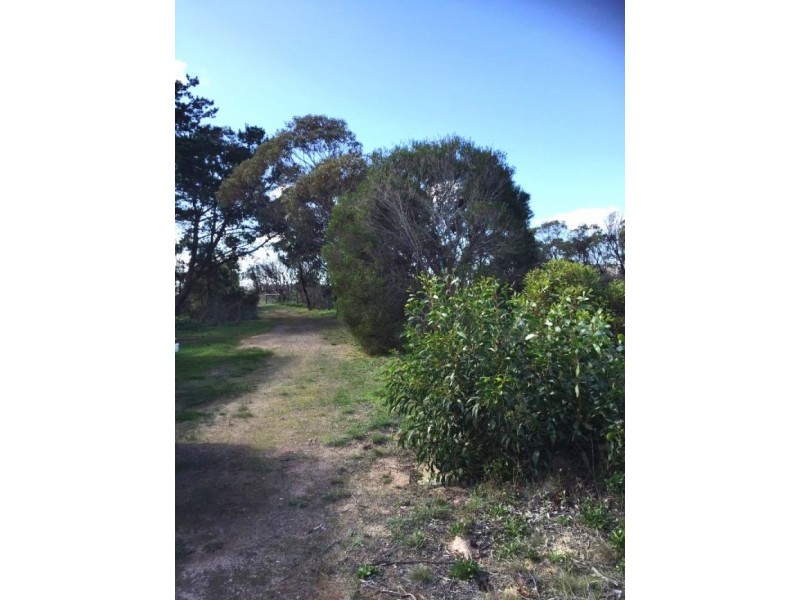 1313 Flinders Highway, Coomunga SA 5607