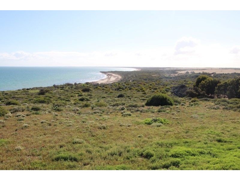 31459 Flinders Highway Perlubie, Streaky Bay SA 5680