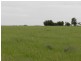 Lot 8 Fredrick Drive, Streaky Bay SA 5680