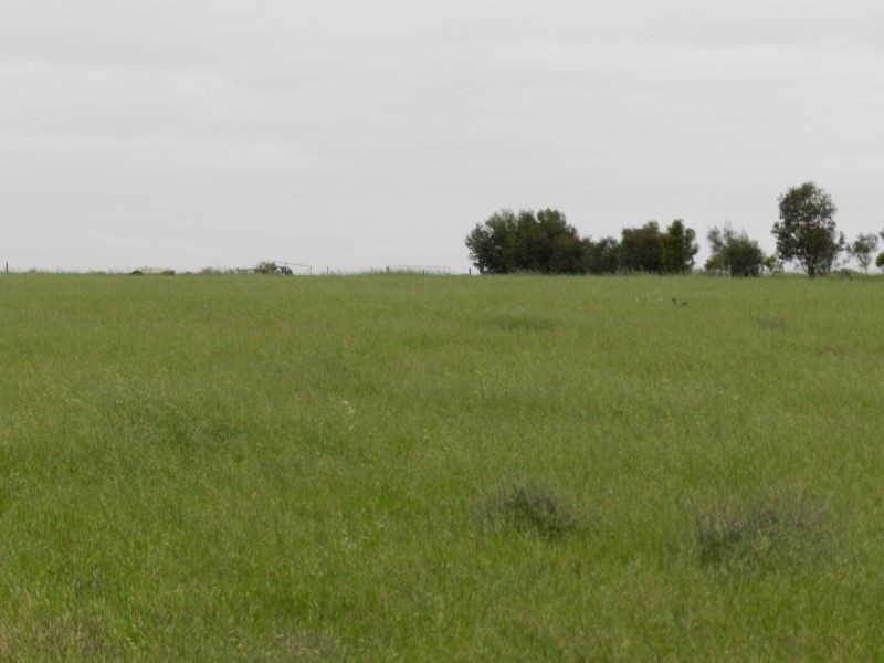Lot 8 Fredrick Drive, Streaky Bay SA 5680
