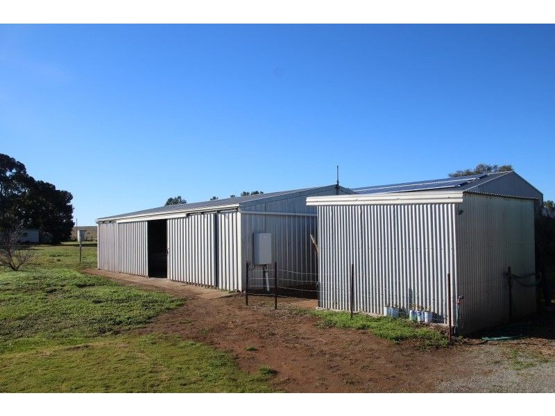 10 North West Terrace, Sheringa SA 5607