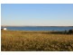 14 Falie Drive Perlubie, Streaky Bay SA 5680