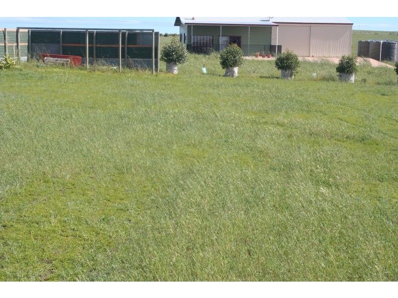 31 Loveshack Route, Streaky Bay SA 5680