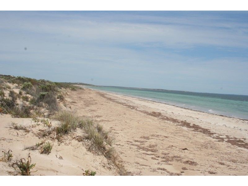 Lot 52 Flinders Highway Perlubie, Streaky Bay SA 5680
