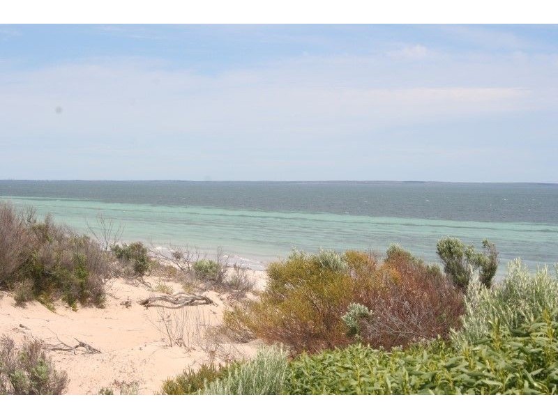 Lot 52 Flinders Highway Perlubie, Streaky Bay SA 5680