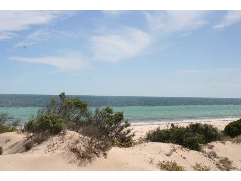 Lot 52 Flinders Highway Perlubie, Streaky Bay SA 5680