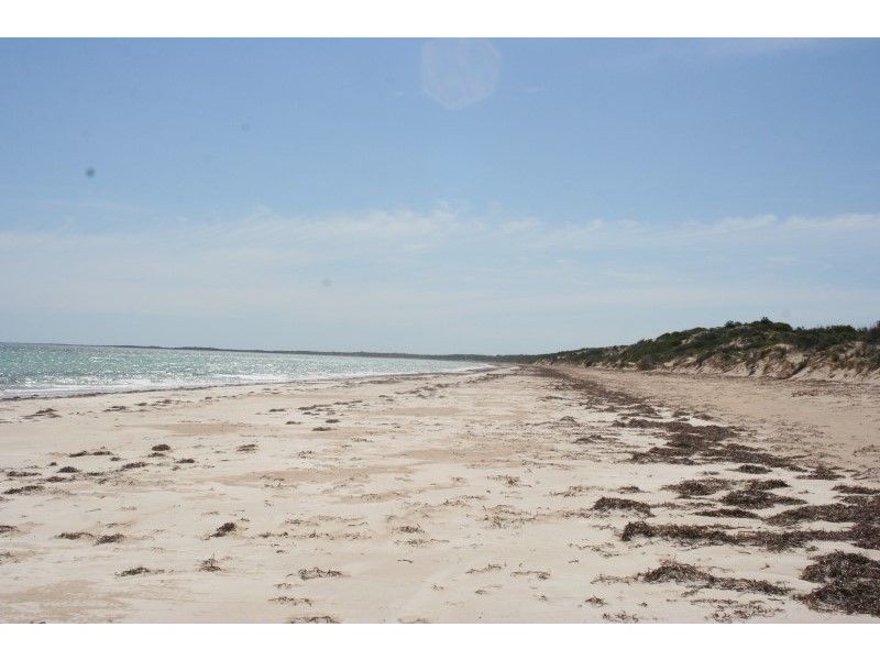 Lot 52 Flinders Highway Perlubie, Streaky Bay SA 5680