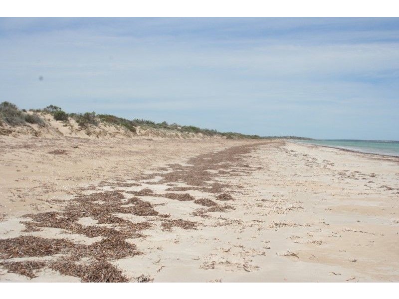 Lot 52 Flinders Highway Perlubie, Streaky Bay SA 5680