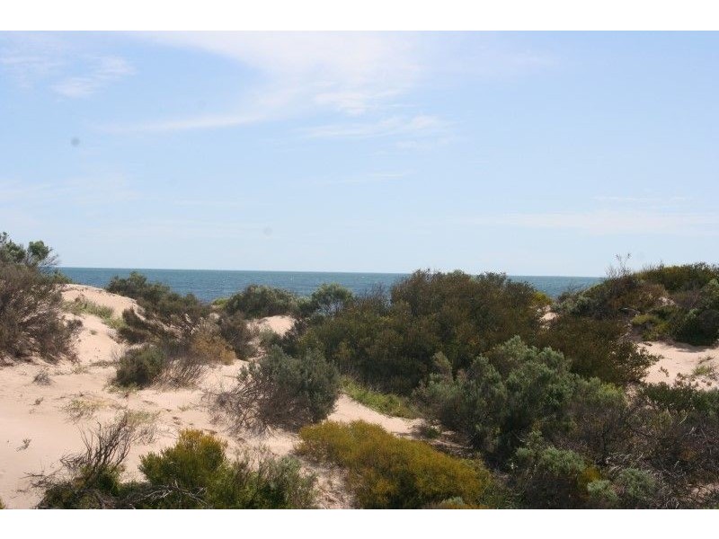 Lot 52 Flinders Highway Perlubie, Streaky Bay SA 5680