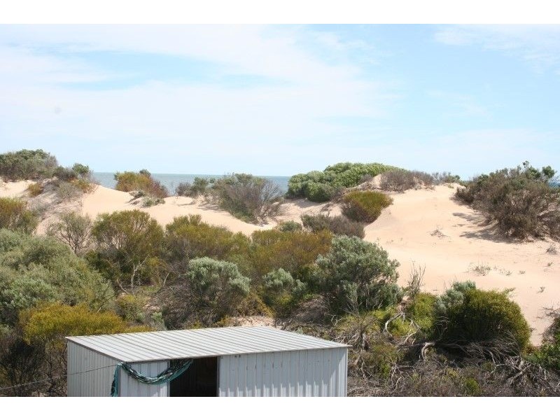 Lot 52 Flinders Highway Perlubie, Streaky Bay SA 5680