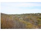 Lot 52 Flinders Highway Perlubie, Streaky Bay SA 5680