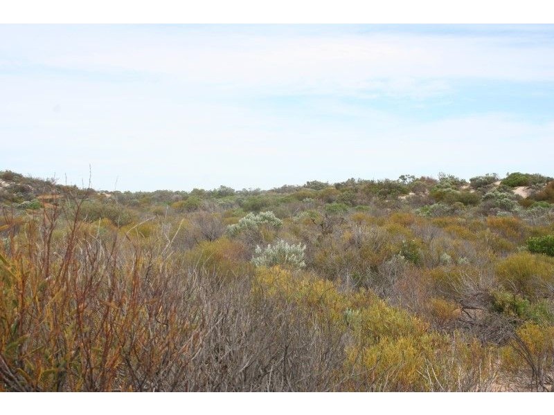 Lot 52 Flinders Highway Perlubie, Streaky Bay SA 5680