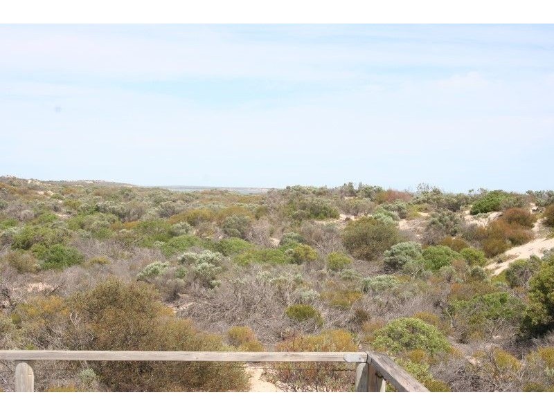 Lot 52 Flinders Highway Perlubie, Streaky Bay SA 5680