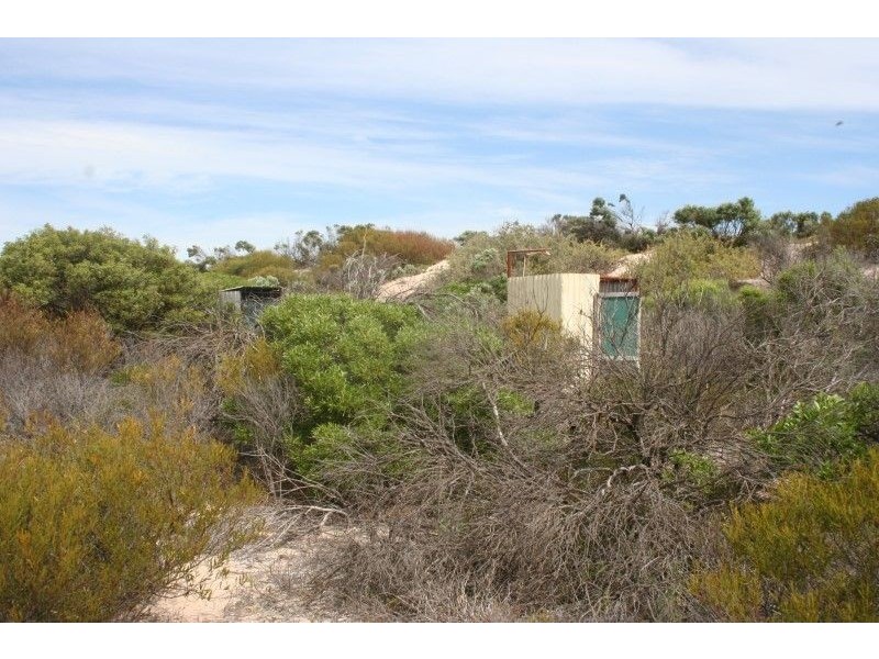 Lot 52 Flinders Highway Perlubie, Streaky Bay SA 5680