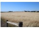 Lot 10 Fredrick Drive, Streaky Bay SA 5680