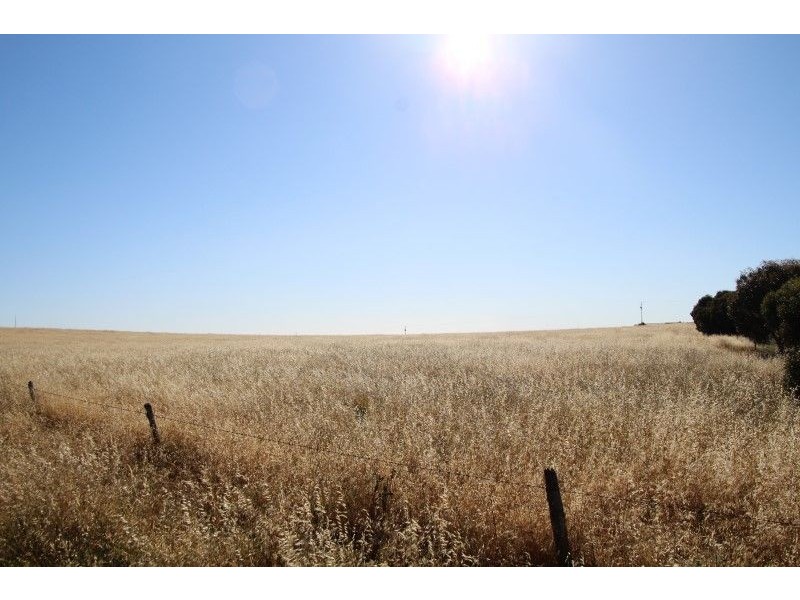Lot 10 Fredrick Drive, Streaky Bay SA 5680