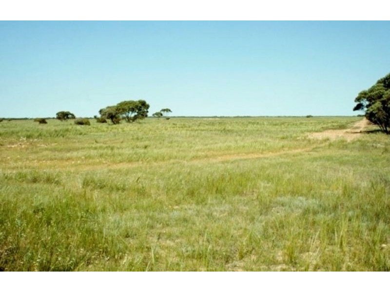 101 Dog Fence Road, Streaky Bay SA 5680