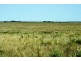 101 Dog Fence Road, Streaky Bay SA 5680