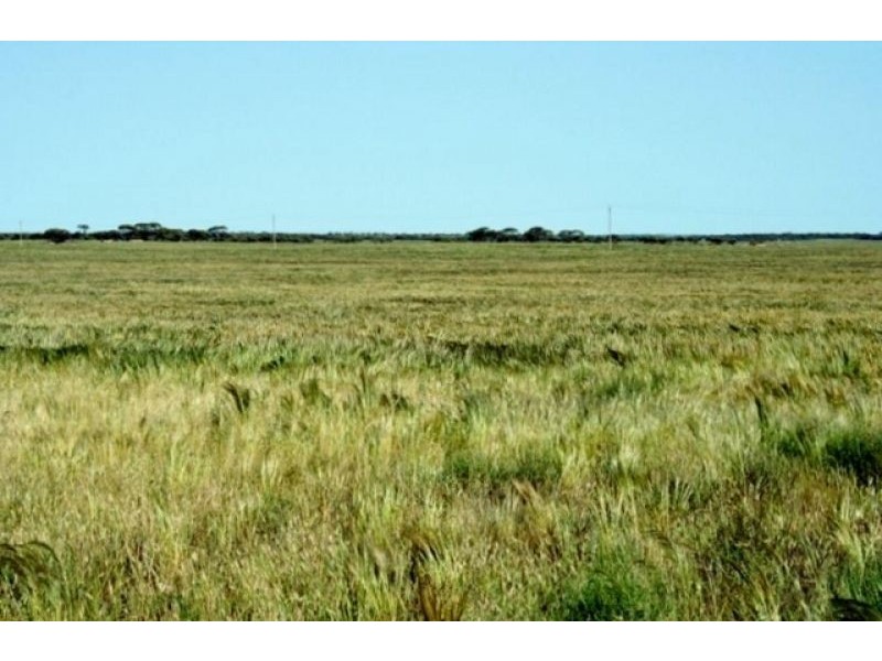 101 Dog Fence Road, Streaky Bay SA 5680