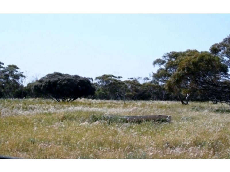 101 Dog Fence Road, Streaky Bay SA 5680