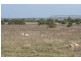 Lot 1 and 2 Pygery-Pt Kenny Road, Port Kenny SA 5671