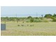 25 Wharff Street, Streaky Bay SA 5680