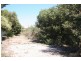Lot 113,  45 Beach Terrace, Elliston SA 5670
