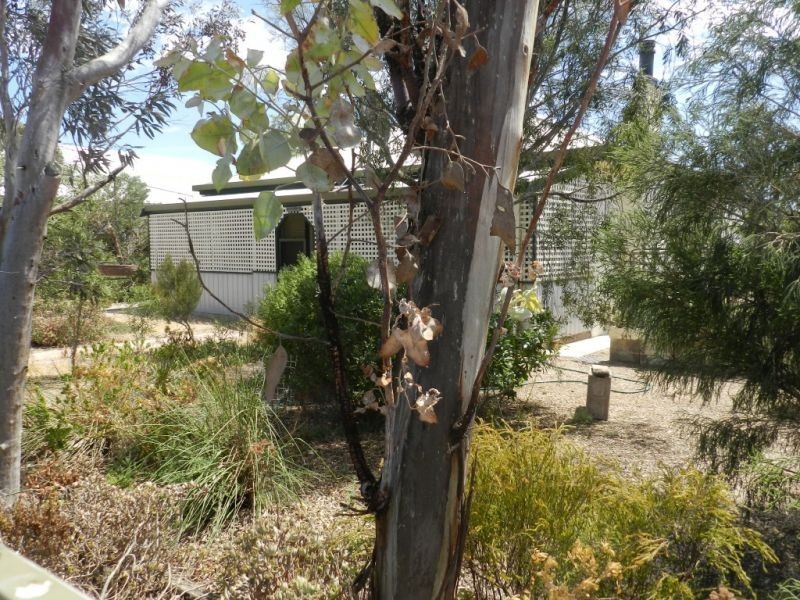 20-22 East Terrace Haslam, Streaky Bay SA 5680