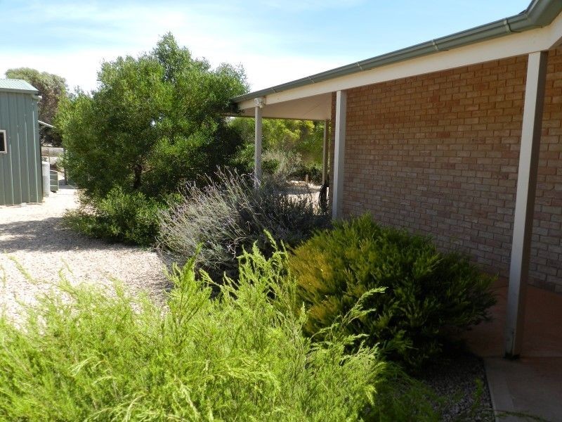 96 Woodlawn Road, Streaky Bay SA 5680
