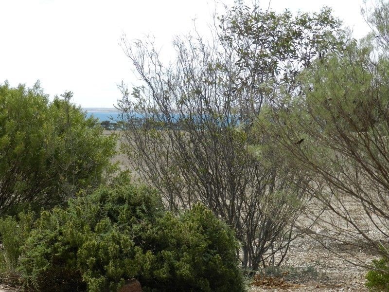 96 Woodlawn Road, Streaky Bay SA 5680