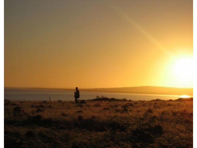 31 Wharff Street, Streaky Bay SA 5680